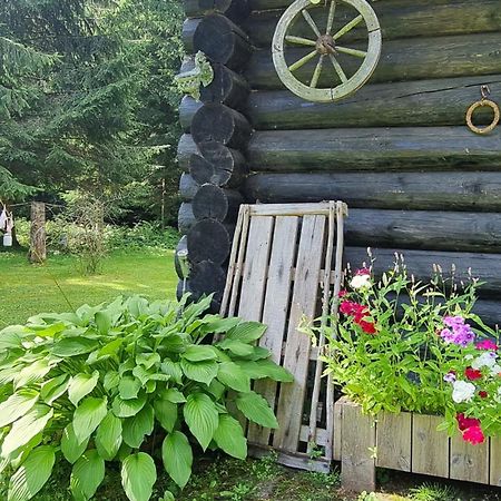 Atsikivi Puhketalu Hotel Häädemeeste Bagian luar foto